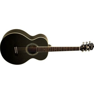 Акустическая гитара Washburn WPJ5S-B