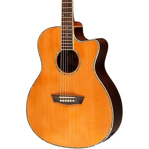 Электроакустическая гитара Washburn WG26SCE