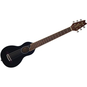 Акустическая гитара Washburn RO10B