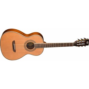 Акустическая гитара Washburn WP11S NS
