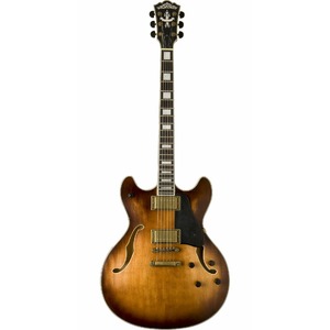 Гитара полуакустическая Washburn HB36(K)