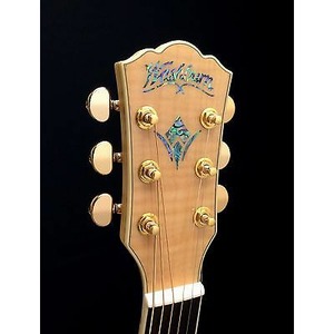 Электроакустическая гитара Washburn WJ40SCE