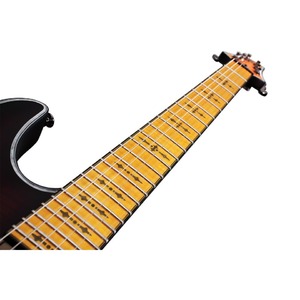 Электрогитара SCHECTER Hellraiser Extreme C-1 M CRBS