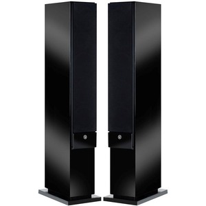 Напольная акустика System Audio SA Explorer Master HG Black