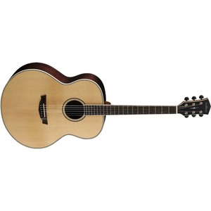 Акустическая гитара Cort PW-540 NAT WBAG