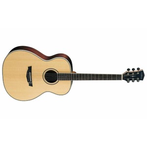 Акустическая гитара Cort PW-520 NAT WBAG