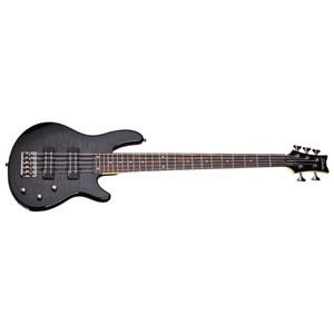 Бас-гитара SCHECTER Raiden Special-5 STBLK