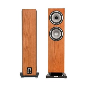 Напольная акустика Tannoy Revolution XT 6F Medium Oak