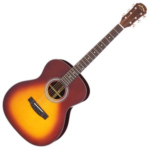 Акустическая гитара ARIA Aria-205 TS