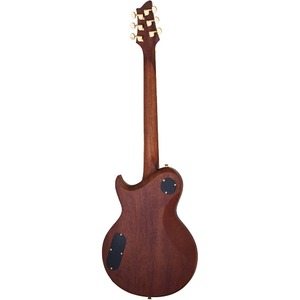 Электрогитара ARIA PE-MAHO (TR-1 G)