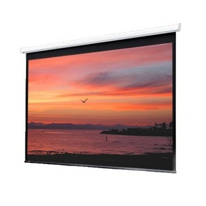 Экран для дома, настенно потолочный с электроприводом Draper Baronet HDTV (9:16) 234/92 114x203 XT1000E (MW) ebd 30