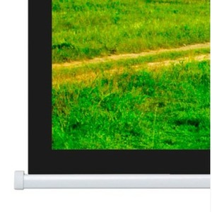 Экран для дома, настенно потолочный с электроприводом Projecta Elpro Concept 216x340 см (153) MatteWhite (10103543)