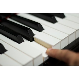 Пианино цифровое Casio Celviano GP-300BK