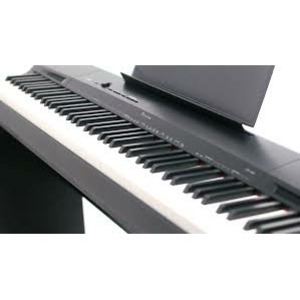 Пианино цифровое Casio Privia PX-160BK