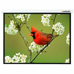 Экран для проектора Lumien Master Picture 115x180 см LMP-100131