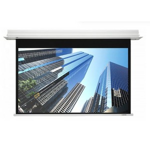 Экран для дома, настенно потолочный с электроприводом Lumien Master Control 220x220 см LMC-100125