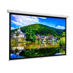 Экран для дома, настенно потолочный с электроприводом Lumien Master Large Control 399x518 см LMLC-100101