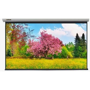 Экран для дома, настенно потолочный с электроприводом Lumien Master Large Control 470x620 см LMLC-100103