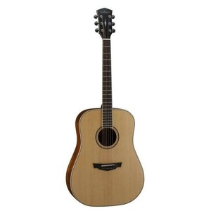 Акустическая гитара Cort PW-410 NS W_CASE