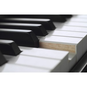 Пианино цифровое Yamaha ICP1
