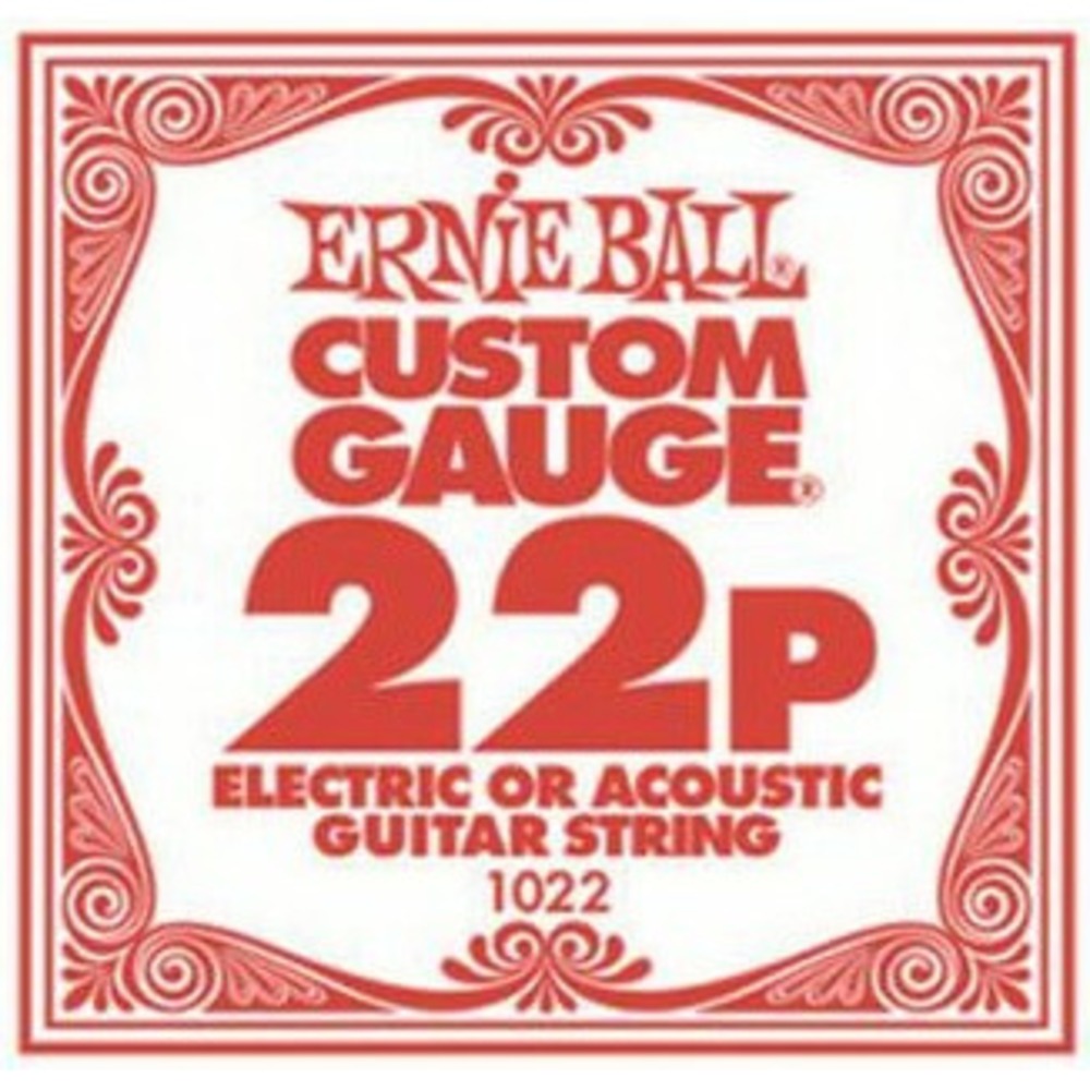 Струны для акустической гитары Ernie Ball 1022