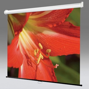 Экран для проектора Draper Star AV (1:1) 70/70 178x178 MW