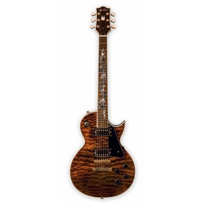 Электрогитара Les Paul JayTurser by Washburn JT-220 SERPENT TE