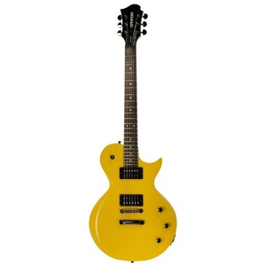 Электрогитара Les Paul Fernandes Monterey JP STD TVY