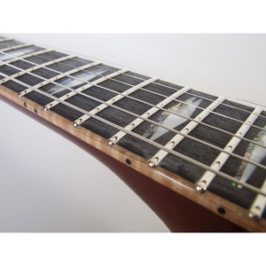 Электрогитара Les Paul Fujigen EFL-HM/2TS