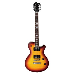 Электрогитара Les Paul Fujigen JFL-HH-FM S/Duncan BB