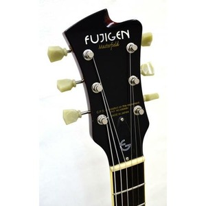 Гитара полуакустическая Fujigen MSA-HP/CH