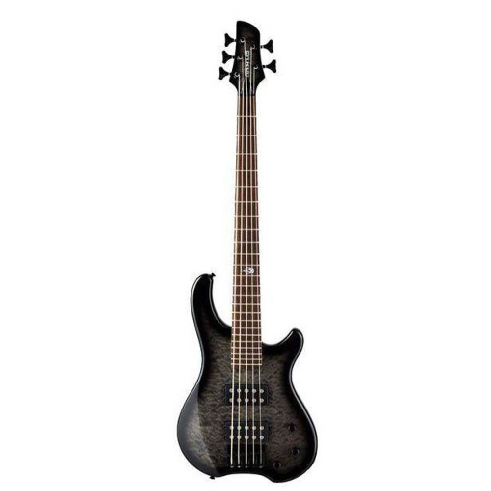 Бас-гитара Fernandes T5X TC SBG