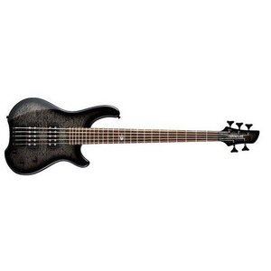 Бас-гитара Fernandes T5X TC SBG