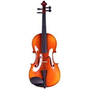 Скрипка ALINA PRO AA015