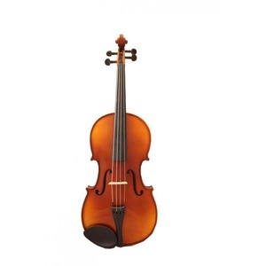Скрипка ALINA PRO AAV015