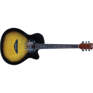 Акустическая гитара ALINA PRO SG-700BS