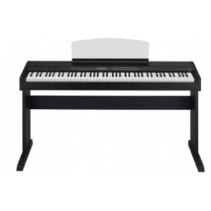 Пианино цифровое Orla Stage Pro Black