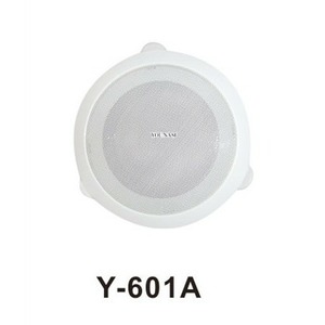 Встраиваемая акустика универсальная ProAudio Y-601A