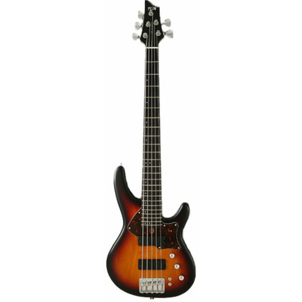 Бас-гитара Fujigen SDR-5R/AL/3TS