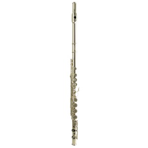Флейта Wisemann DFL-385
