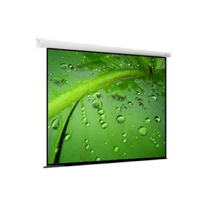 Экран для проектора ViewScreen Breston (16:9) 406*305 (394*222) MW