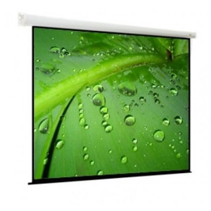 Экран для проектора ViewScreen Breston (4:3) 366*274 (358*266) MW