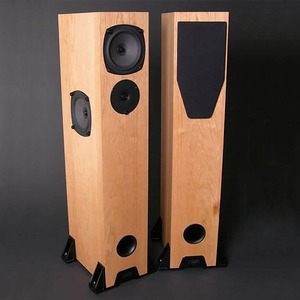 Напольная акустика Rega RS3 Cherry