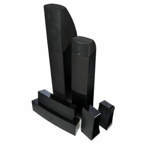 Напольная акустика Martin Logan Motion 10