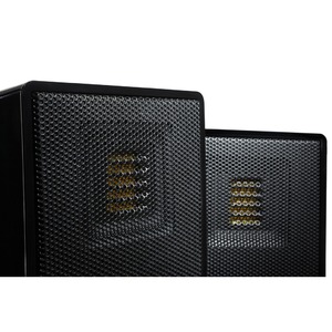 Напольная акустика Martin Logan Motion 10