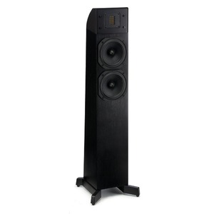 Напольная акустика Martin Logan Motion 10