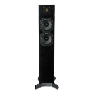 Напольная акустика Martin Logan Motion 10