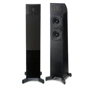 Напольная акустика Martin Logan Motion 10