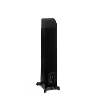 Напольная акустика Martin Logan Motion 10