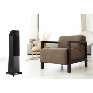 Напольная акустика Martin Logan Motion 10